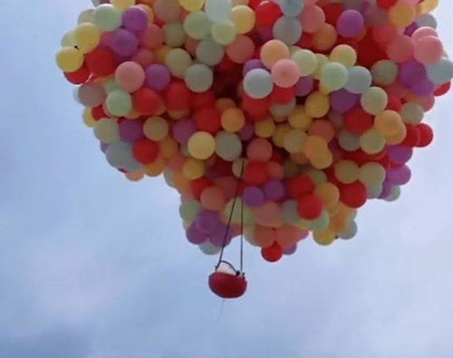 河南景區“氣球送兔”惹爭議 創意營銷還是動物虐待？